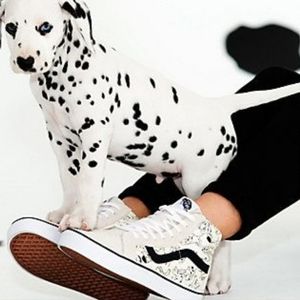 🚨Last chance Vans 101 Dalmatians High-Tops